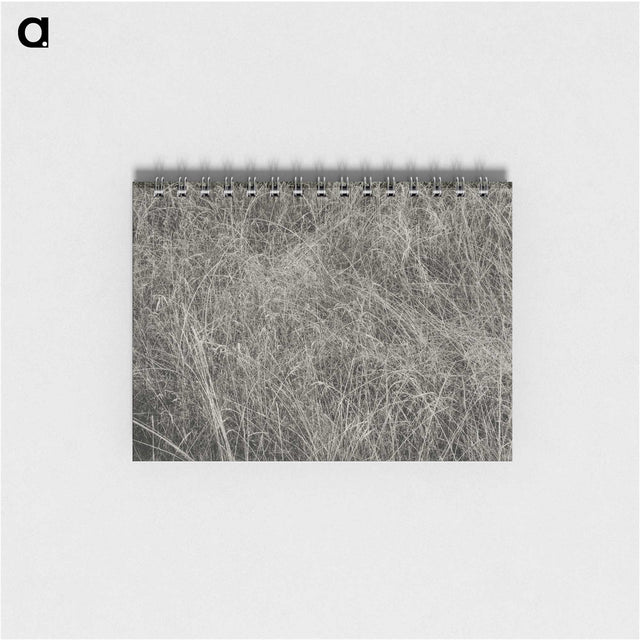 2-10_Alfred-Stieglitz_memo