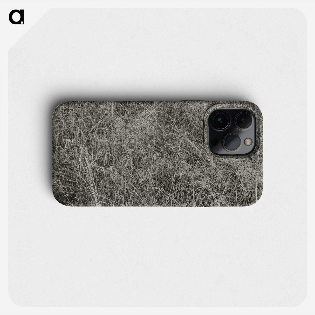 2-10_Alfred-Stieglitz_phone