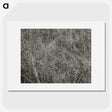 2-10_Alfred-Stieglitz_picture