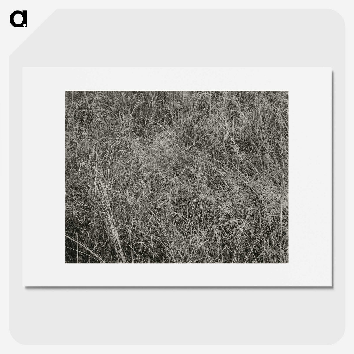 2-10_Alfred-Stieglitz_picture