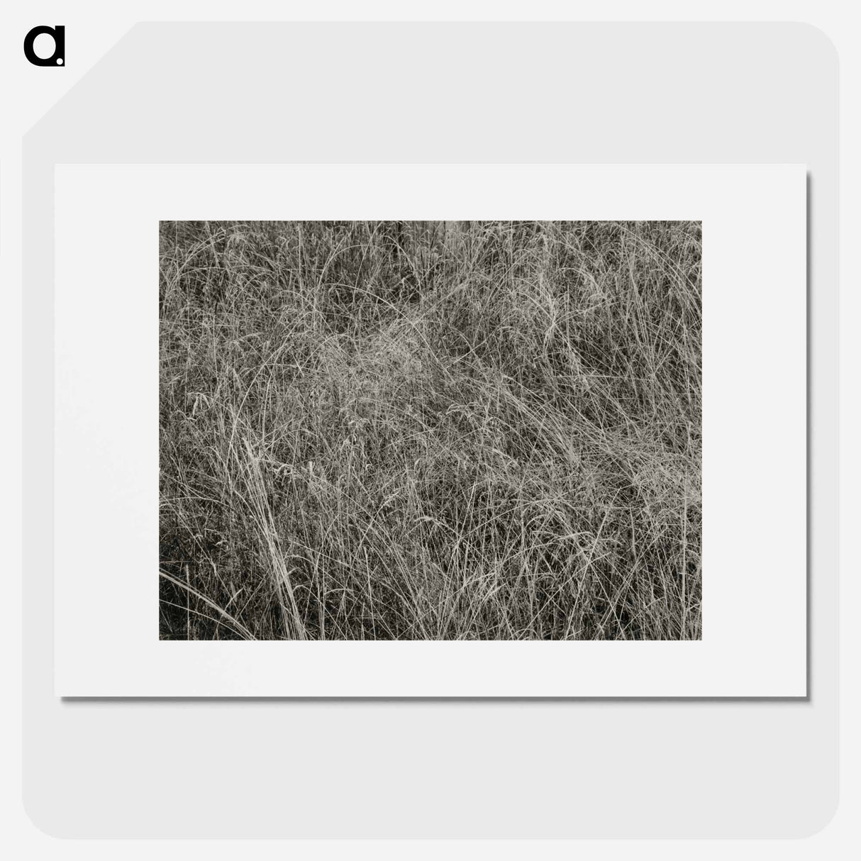 Grass - アルフレッド スティーグリッツ Poster.
