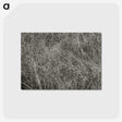 2-10_Alfred-Stieglitz_postcard