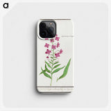 2-10_Anselmus-Boetius-de-Boodt_phone