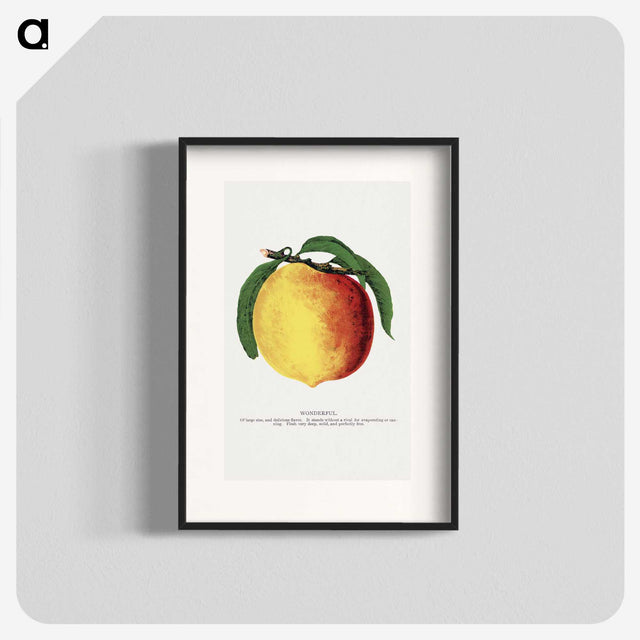 2-10_Botanical-Specimen-Plates_blk