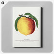 2-10_Botanical-Specimen-Plates_canvas