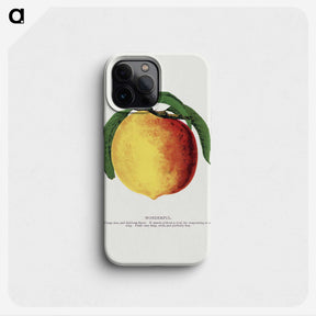 2-10_Botanical-Specimen-Plates_phone