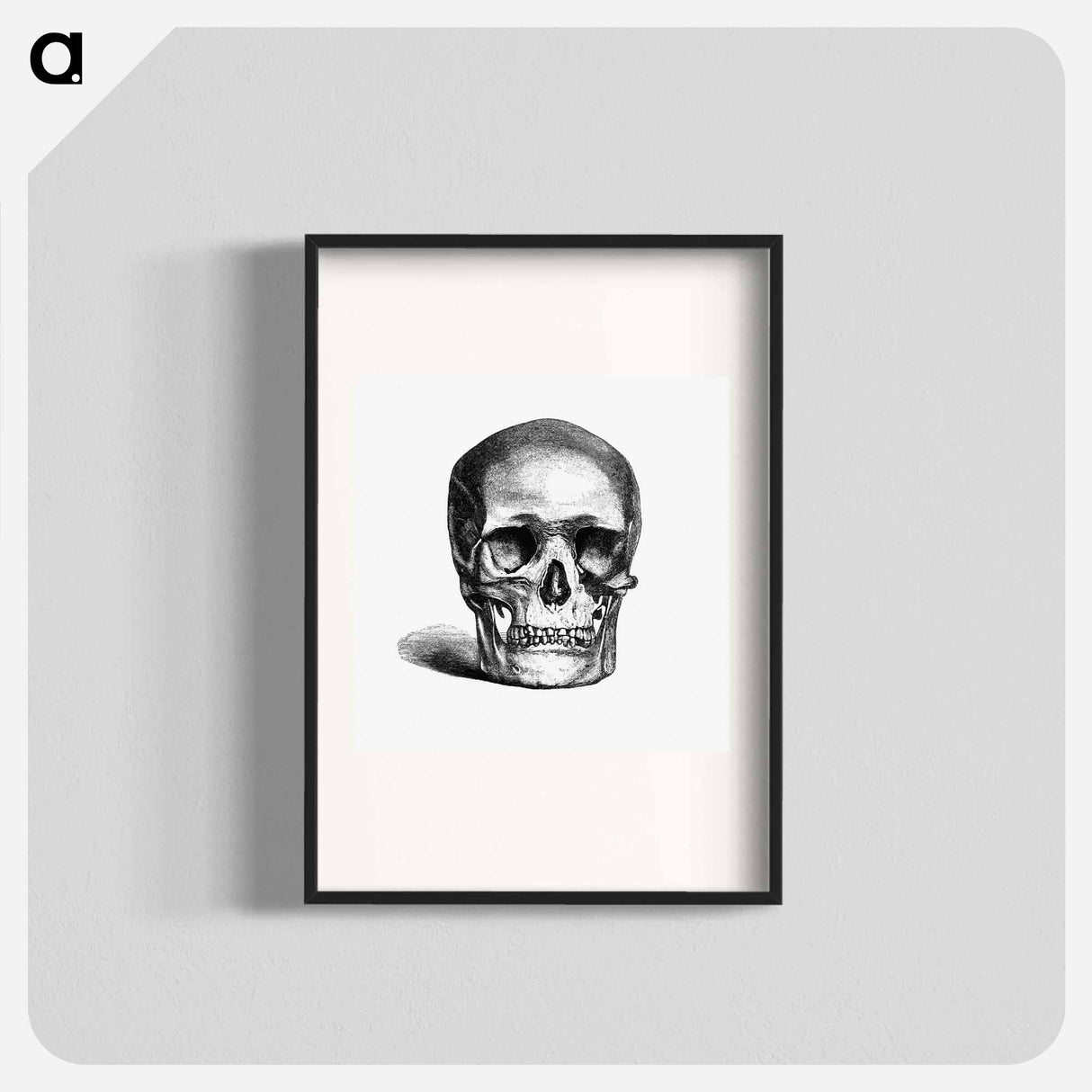 アートポスター-Skull Engraving
 - 大英図書館 Poster.