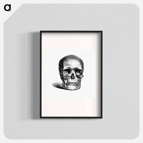 アートポスター-Skull Engraving
 - 大英図書館 Poster.