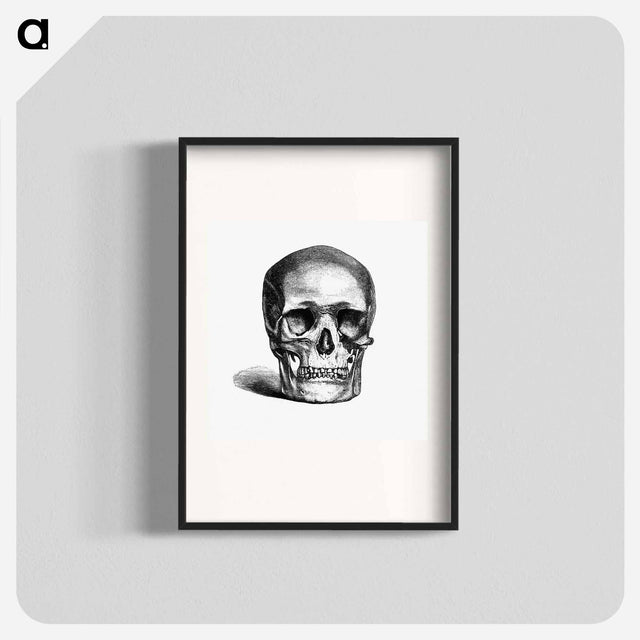 アートポスター-Skull Engraving
 - 大英図書館 Poster.