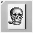 アートパネル-Skull Engraving
 - 大英図書館 Canvas.