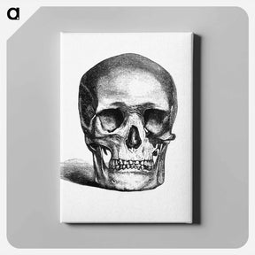アートパネル-Skull Engraving
 - 大英図書館 Canvas.