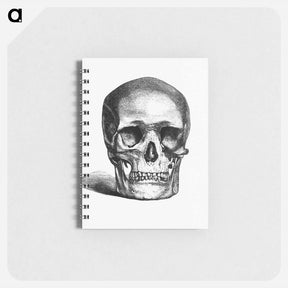 アートメモ帳-Skull Engraving
 - 大英図書館 Memo.