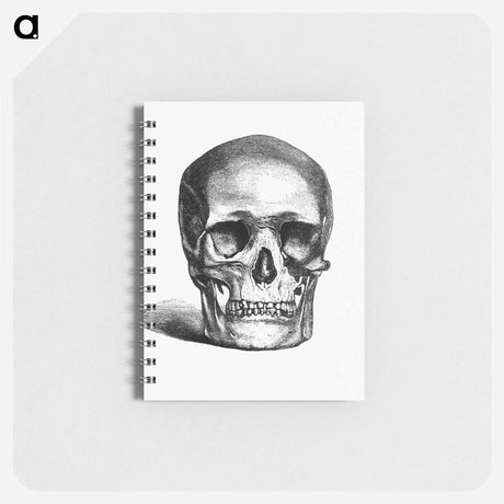 アートメモ帳-Skull Engraving
 - 大英図書館 Memo.
