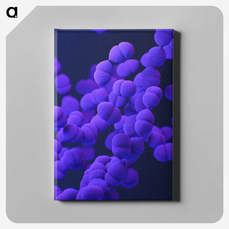 2-10_COVID-19_canvas