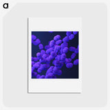 2-10_COVID-19_hagaki