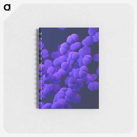 2-10_COVID-19_memo