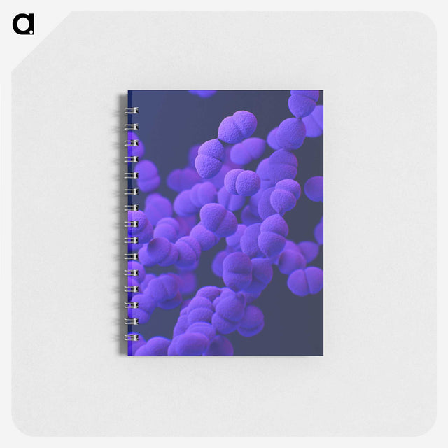2-10_COVID-19_memo