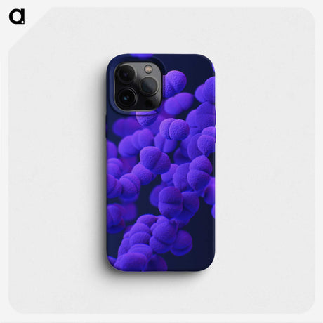 2-10_COVID-19_phone
