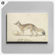 2-10_Charles-Hamilton-Smith_canvas