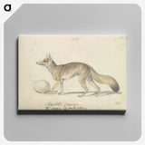 2-10_Charles-Hamilton-Smith_canvas