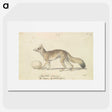 2-10_Charles-Hamilton-Smith_picture