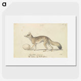2-10_Charles-Hamilton-Smith_picture
