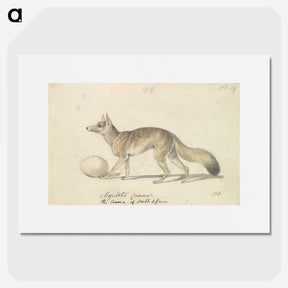 2-10_Charles-Hamilton-Smith_picture