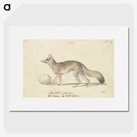 2-10_Charles-Hamilton-Smith_picture