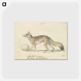 2-10_Charles-Hamilton-Smith_postcard