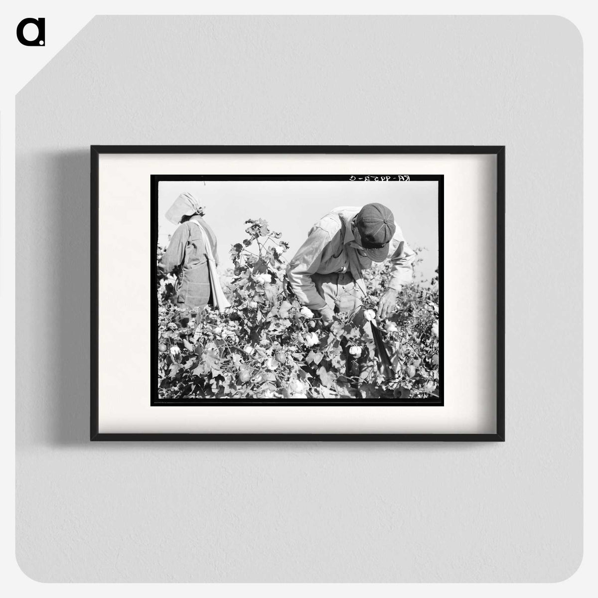 2-10_Dorothea-Lange_blk