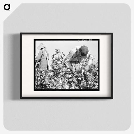 2-10_Dorothea-Lange_blk