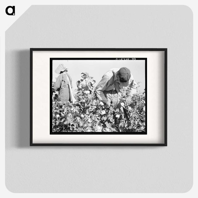 2-10_Dorothea-Lange_blk