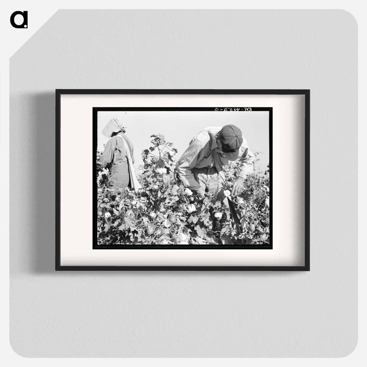 Cotton pickers. Southern San Joaquin Valley, California - ドロテア ラング Poster.