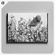 2-10_Dorothea-Lange_canvas