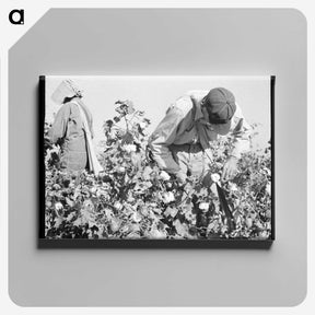 2-10_Dorothea-Lange_canvas