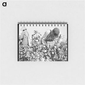 アートメモ帳-Cotton pickers. Southern San Joaquin Valley, California - ドロテア ラング Memo.