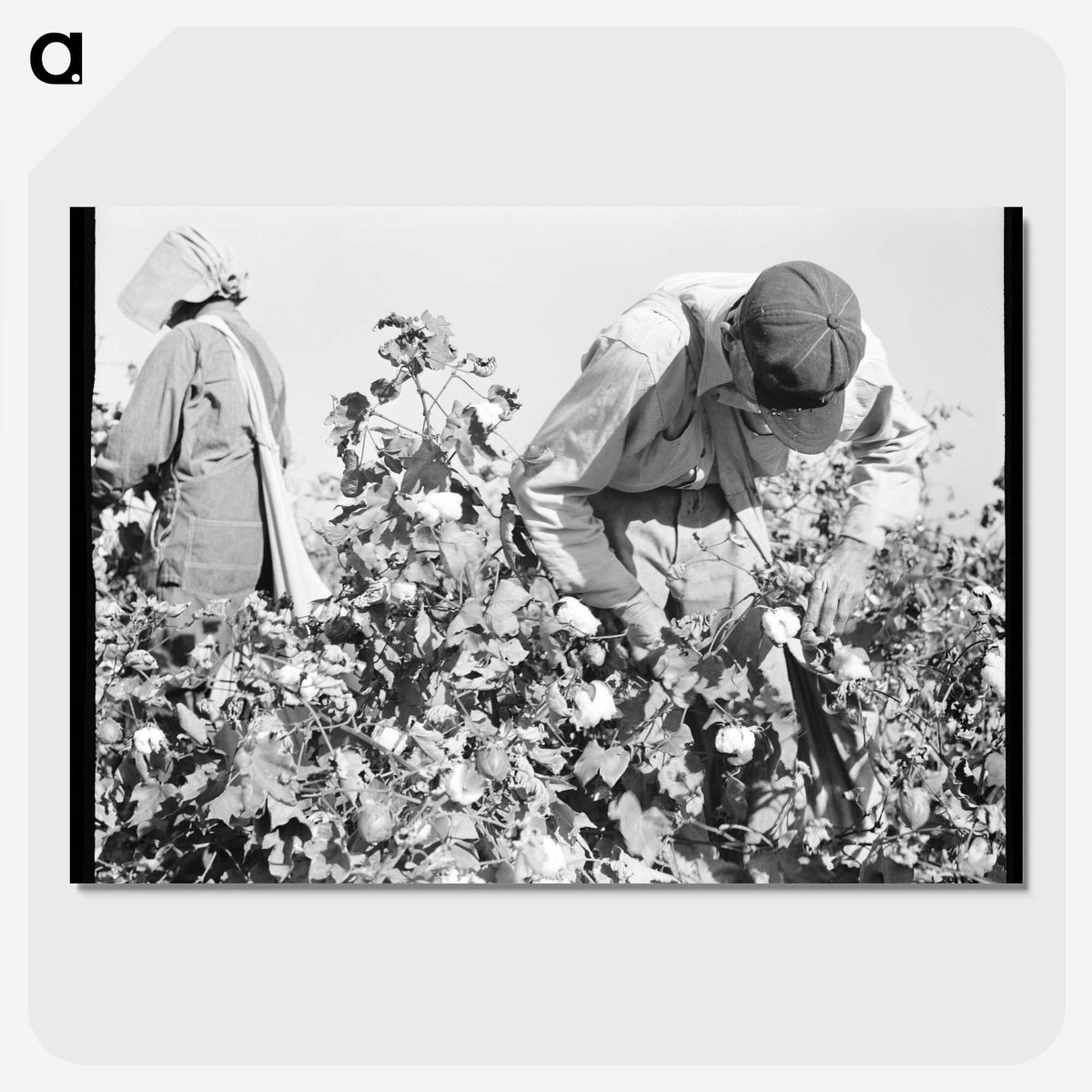 2-10_Dorothea-Lange_picture-crop