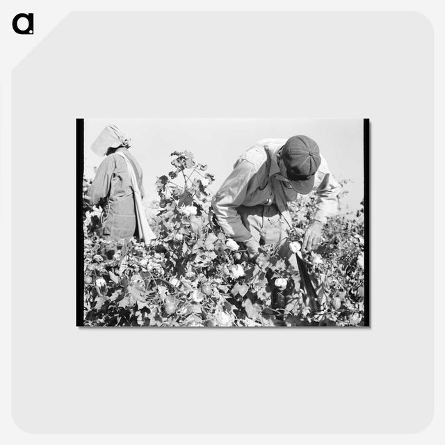 2-10_Dorothea-Lange_postcard