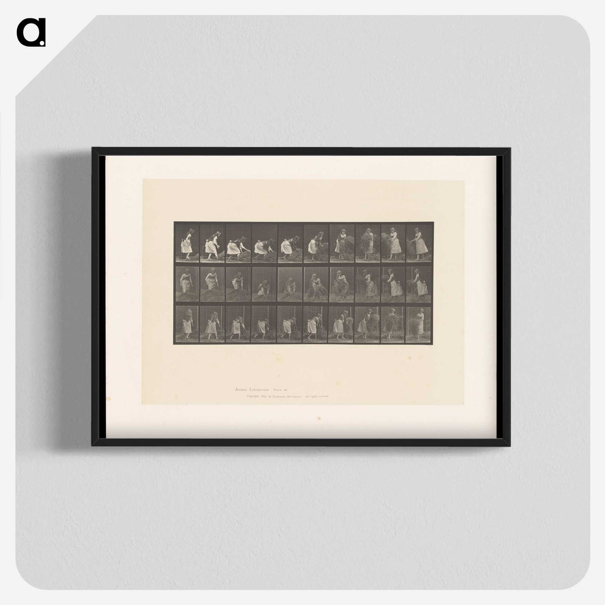 2-10_Eadweard-Muybridge_blk-crop