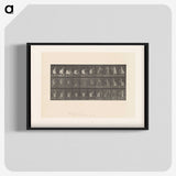 2-10_Eadweard-Muybridge_blk-crop