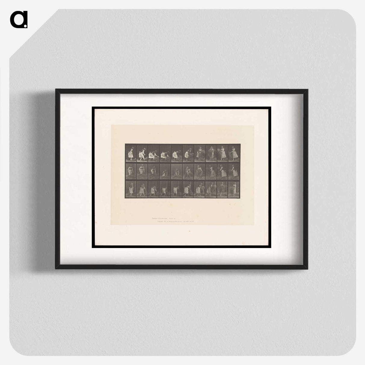 2-10_Eadweard-Muybridge_blk
