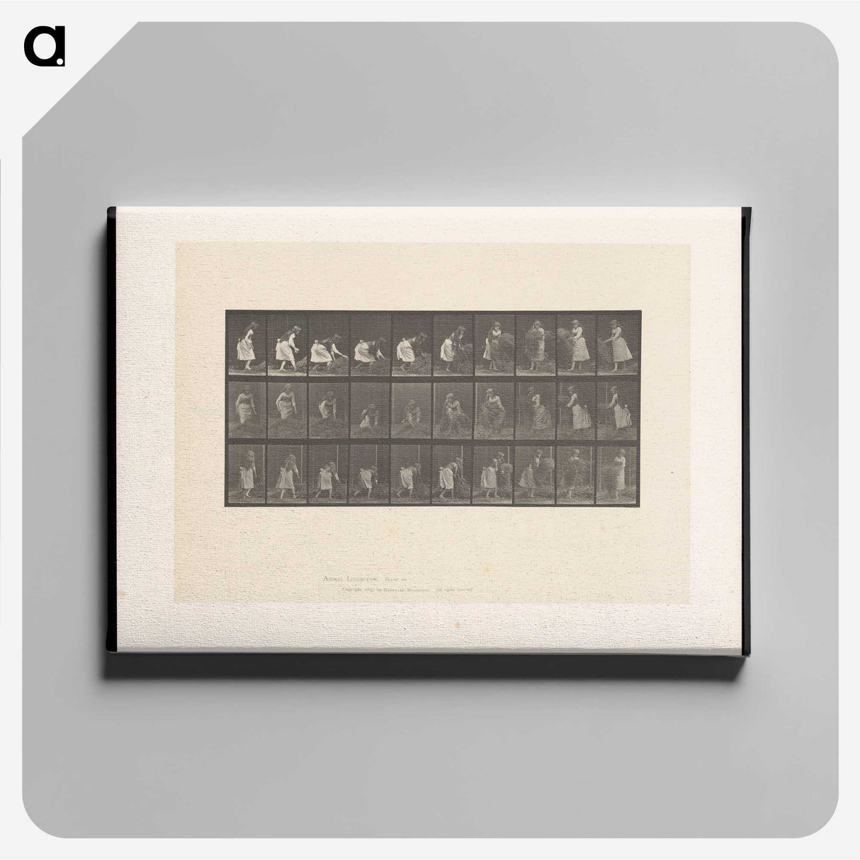 2-10_Eadweard-Muybridge_canvas