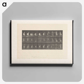 2-10_Eadweard-Muybridge_canvas