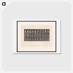 アートポストカード-Hay Gatherer
 - エドワード マイブリッジ Postcard.