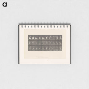 2-10_Eadweard-Muybridge_memo