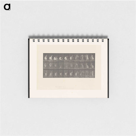 2-10_Eadweard-Muybridge_memo