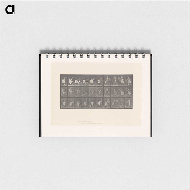 2-10_Eadweard-Muybridge_memo