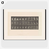 2-10_Eadweard-Muybridge_picture-crop