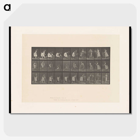 2-10_Eadweard-Muybridge_picture-crop