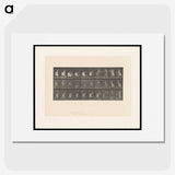 2-10_Eadweard-Muybridge_picture